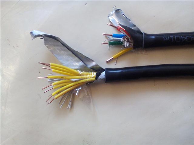 变频器电缆BPVVPP2