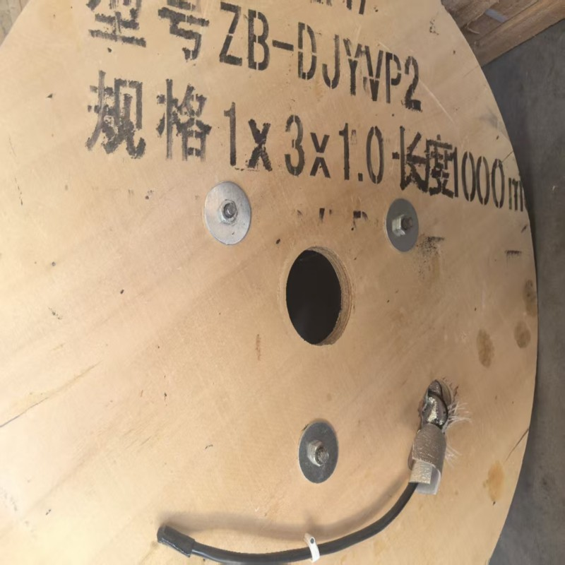 DJYPVP22/DJYP3VP3-22/DJYP2VP2-22电子计算机仪表电缆 