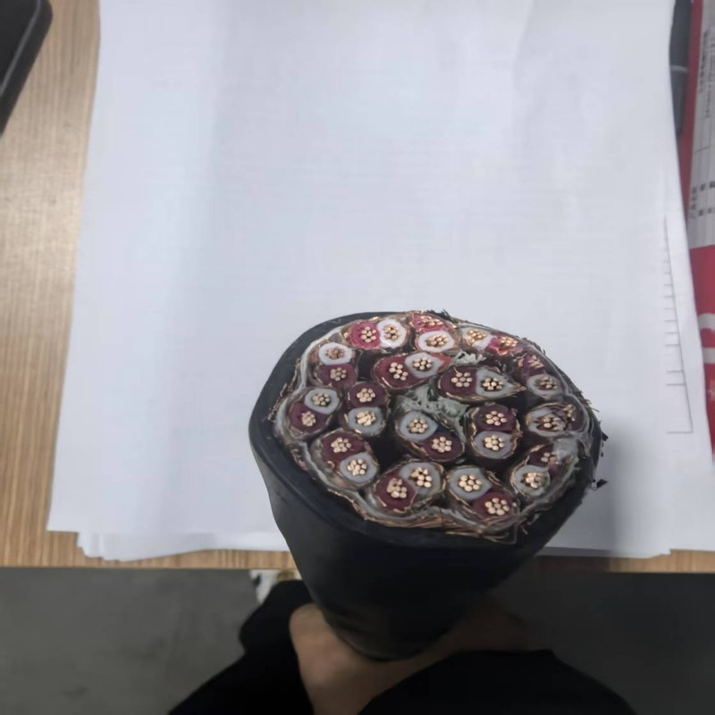  DJGPG,DJGPGP,DJGGP硅橡胶绝缘计算机屏蔽电缆 