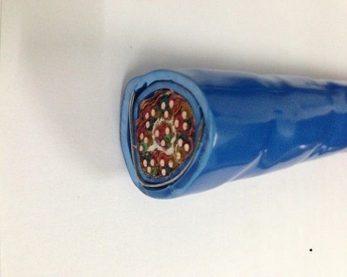WDZ-IJYP(S)-R/WDZ-IJYP(S)本安防水用集散型仪表信号电缆 